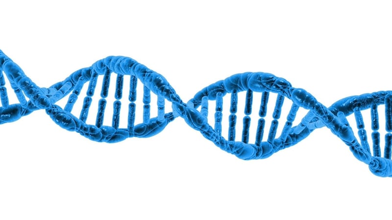 Biomedical Research