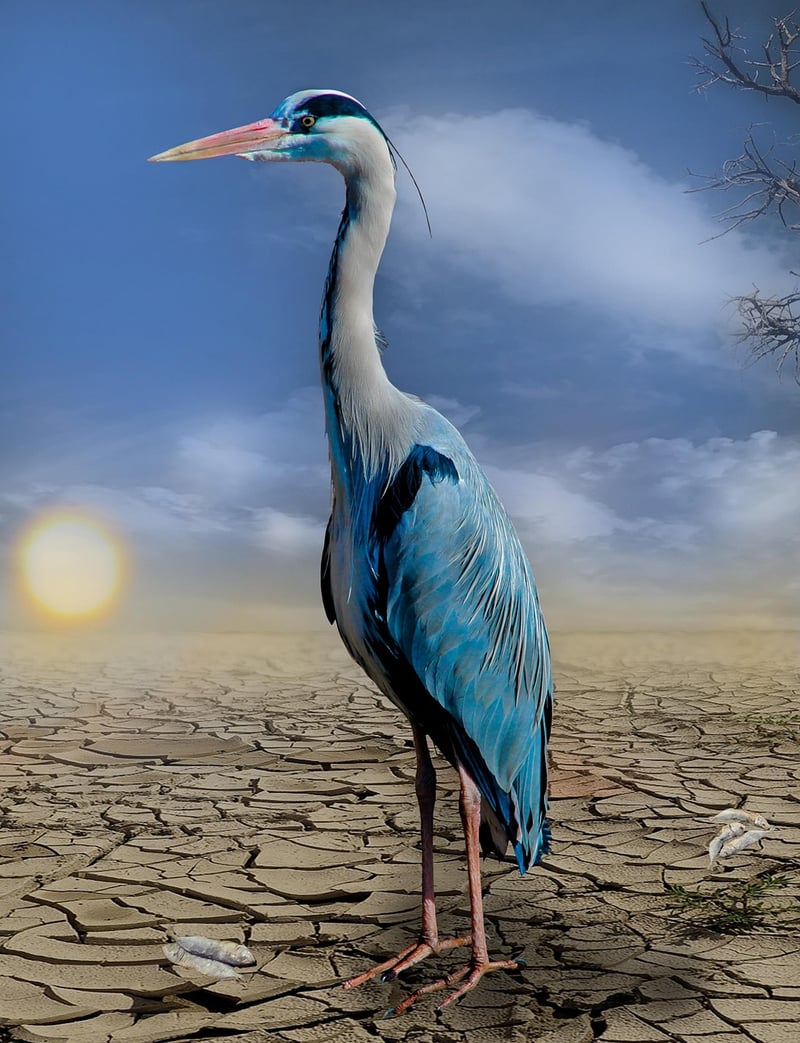 Climate Change